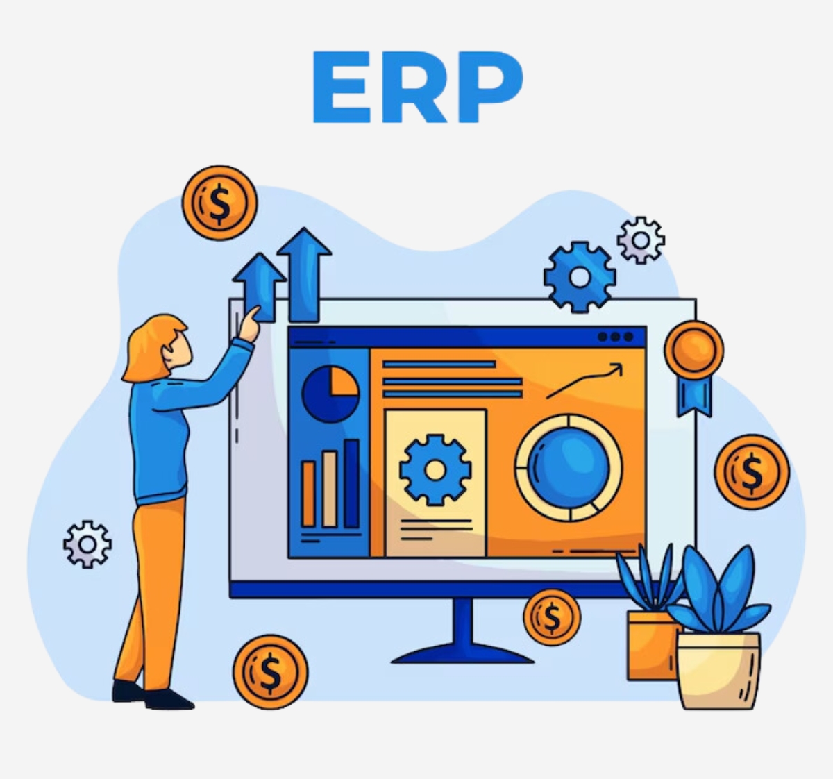 ERPNext integration with third-party applications and ERP modules for distribution